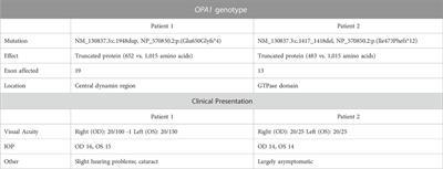 Establishing induced pluripotent stem cell lines from two dominant optic atrophy patients with distinct OPA1 mutations and clinical pathologies